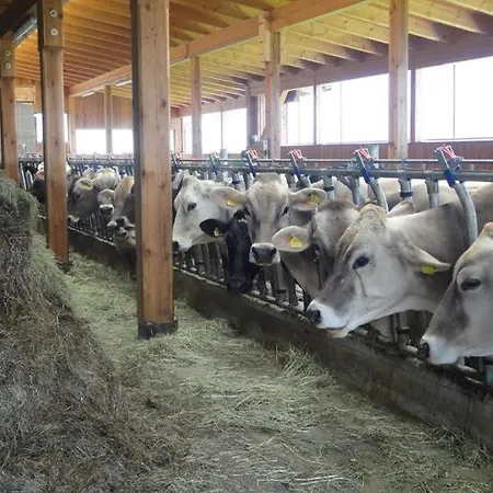 Hochbrandt Lejlighed Spital Am Pyhrn