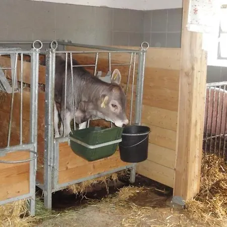 Hochbrandt * Spital Am Pyhrn