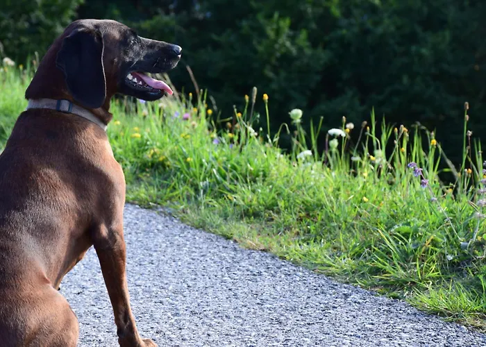 Κατάλυμα σε φάρμα Hochbrandt