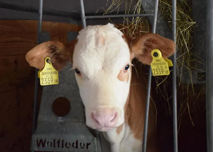 Hochbrandt Lantgård