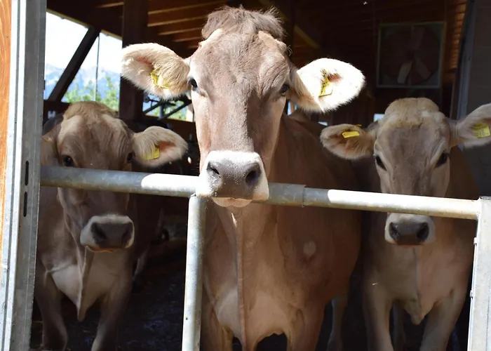 Hochbrandt Séjour à la ferme